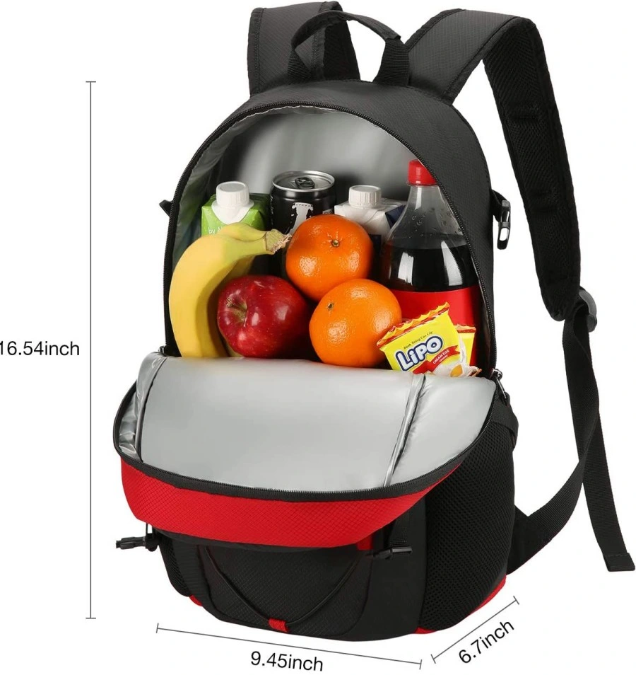 Leakproof Beach Insulated Lunch Backpack, Meal Pre Bag for Food& Drink